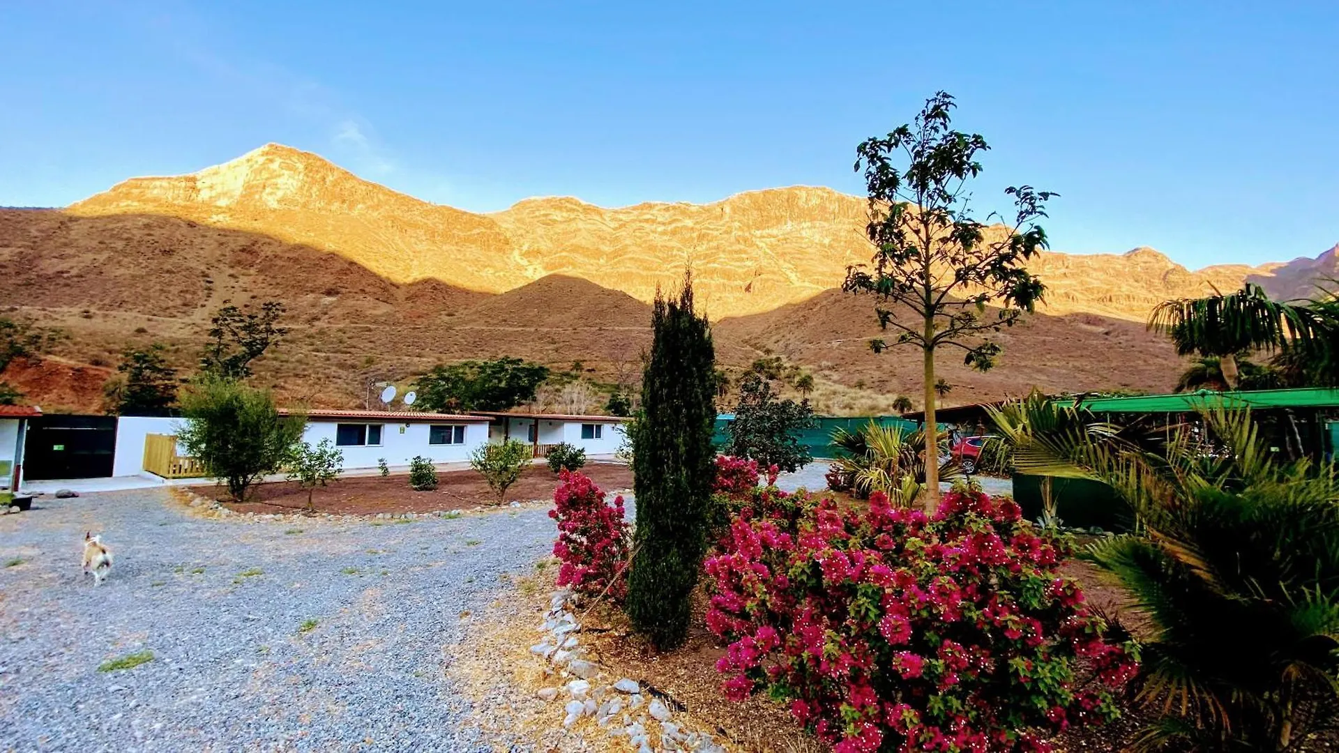 Spacious Country House In Arteara Near Maspalomas Artedara